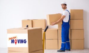 You Already Have A Lot On Your Mind While Moving                               